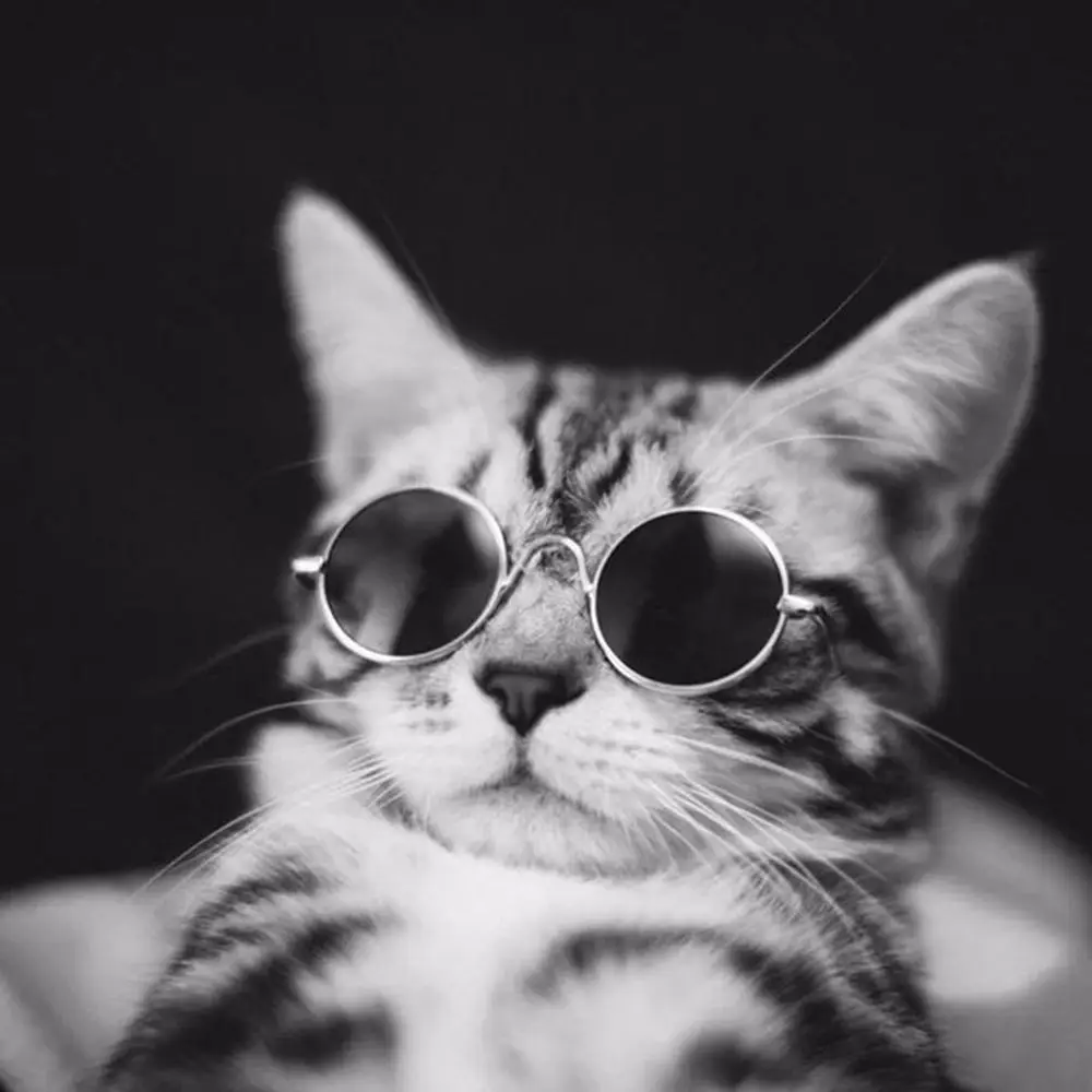 Unparalleled my Retaliation Animale de companie ochelari multicolor pentru animale de companie produse  câini de talie mică catelul pisica ochelari de soare ochelari de protecție  new simple animale de companie se răcească sunglasse cumpara >